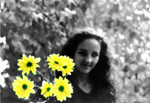 yellow_bloom_flower_9108_l